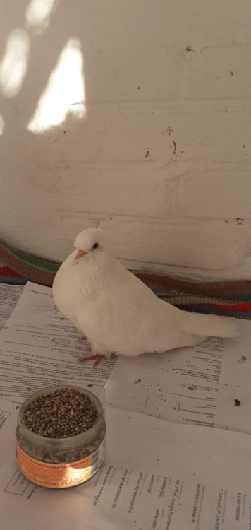 20250613_170547.jpg
