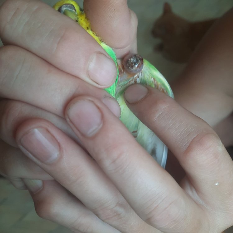 20250625_073843.jpg