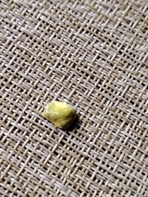 IMG_20250621_112018.jpg