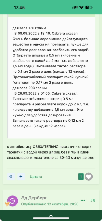 IMG_3706.png