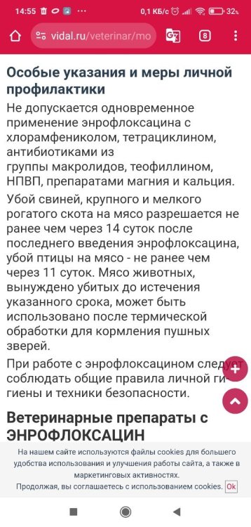 Screenshot_2025-06-05-14-56-00-046_com.android.chrome.thumb.jpg.e891a85d688c6b941ab21fb8a2fd205a.jpg