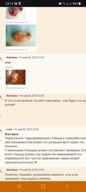 Screenshot_20250607-231400_Chrome.jpg