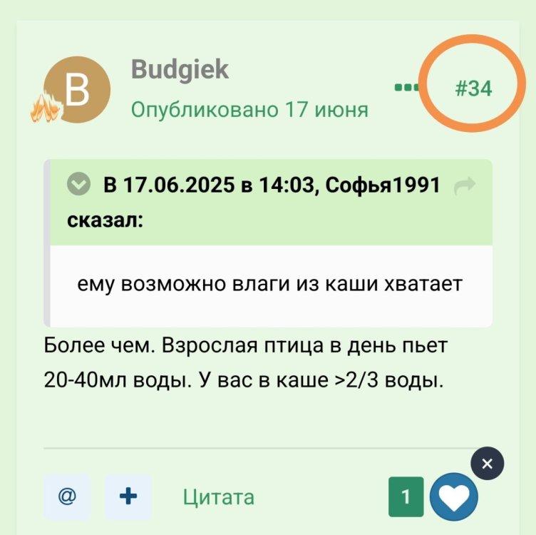 Screenshot_20250623_164746_org_mozilla_firefox_HomeActivity.jpg