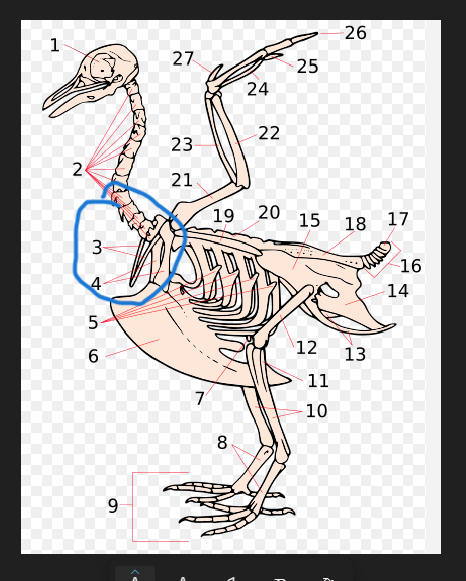 image.png.d6399cb12eec5f993ff3a1228278e317.png
