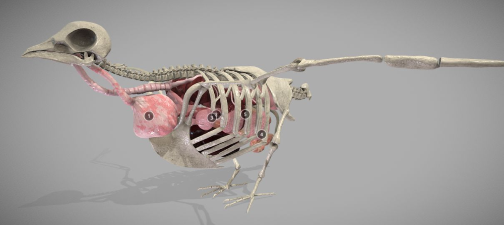 image.thumb.png.dc1c05409f18ff5f01663be29d2d1d2d.png