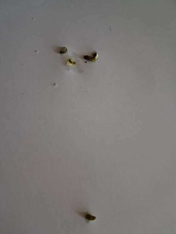 20250714_164059.jpg