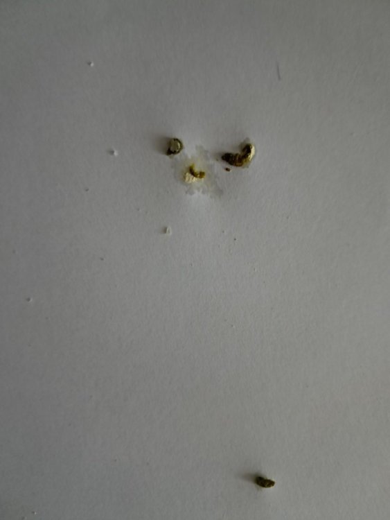 20250714_164118.jpg