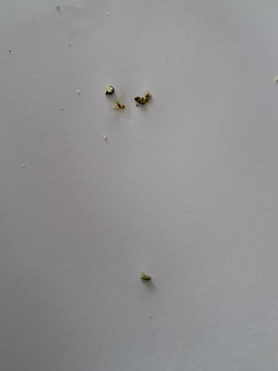 20250714_164137.jpg