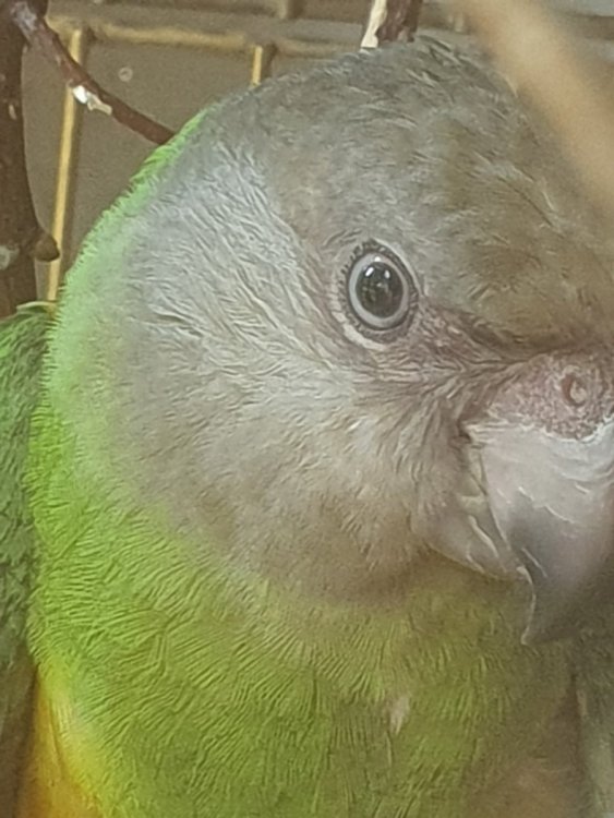 20250714_182551.jpg