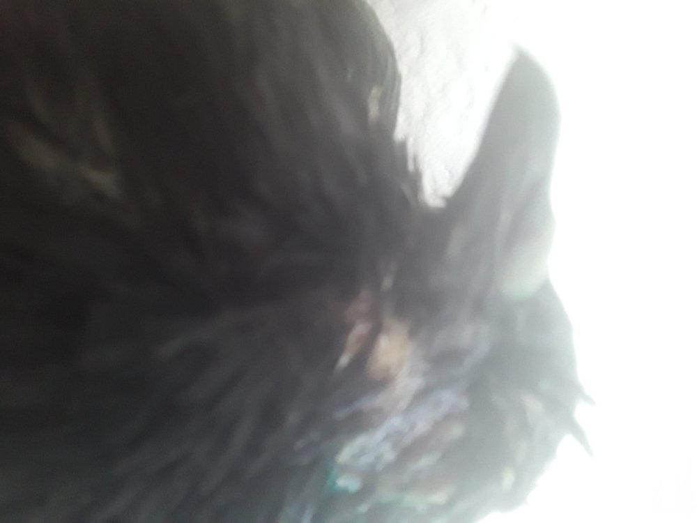 20250717_161222.jpg