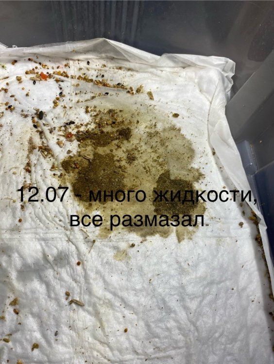 IMG_0708.jpeg