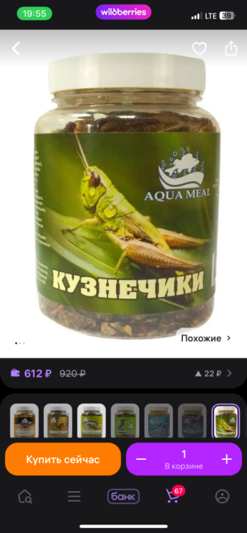 IMG_3637.png