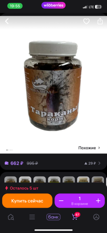 IMG_3638.png