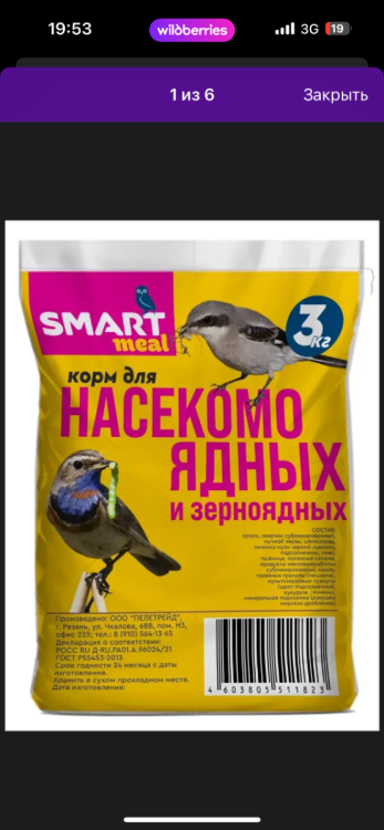IMG_3775.png