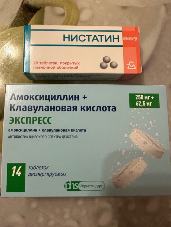 IMG_6462.jpeg