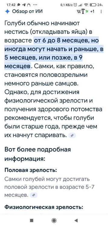 Screenshot_2025-07-17-17-42-25-978_com.android.chrome.thumb.jpg.a34db94f013190aedff64dc3a1a21746.jpg