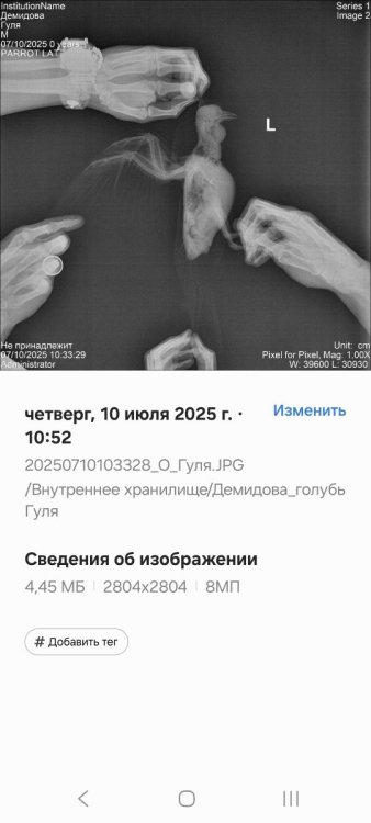 Screenshot_20250710_171503_Gallery.jpg