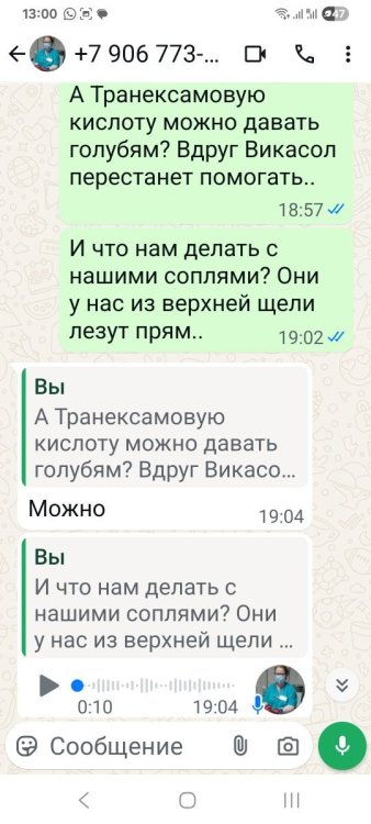 Screenshot_20250713_130018_WhatsApp.thumb.jpg.bcdd10f6c00f765d7fa5d1c65b7af937.jpg