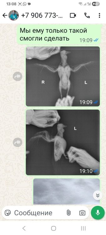 Screenshot_20250713_130838_WhatsApp.jpg