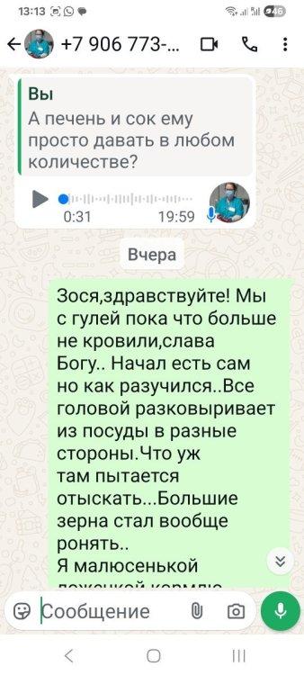 Screenshot_20250713_131358_WhatsApp.jpg
