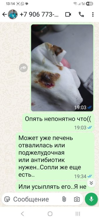 Screenshot_20250713_131452_WhatsApp.jpg
