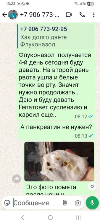 Screenshot_20250713_132301_WhatsApp.jpg