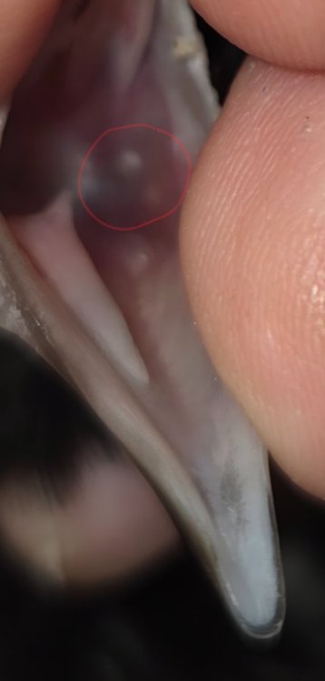 20250809_214503.jpg