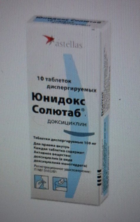 3b9b9ade-ede0-4d53-8db8-11b0d2151661.jpeg