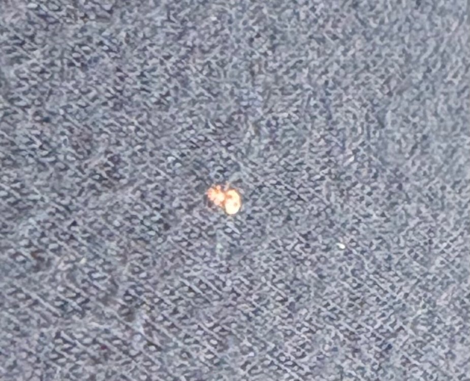 IMG_0665.jpeg
