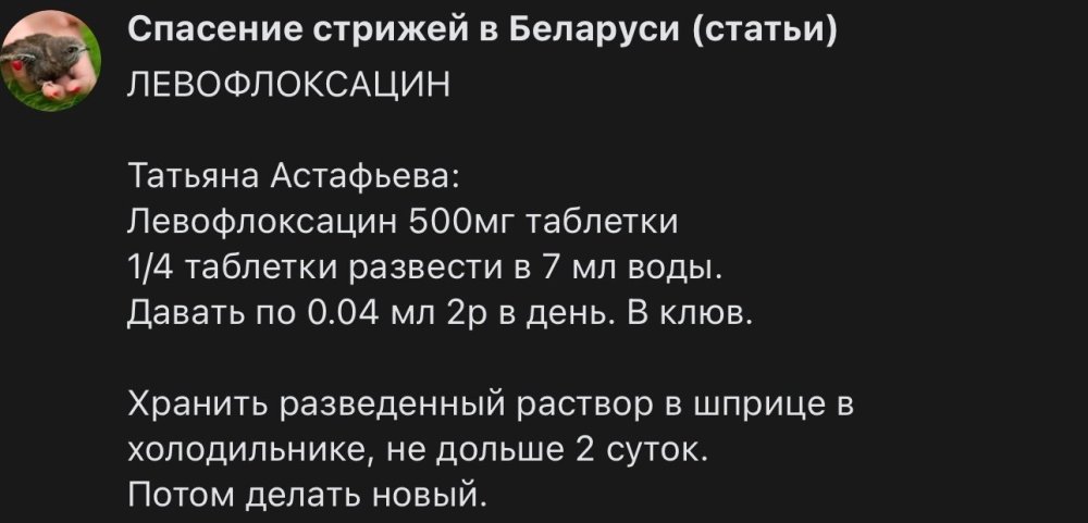 IMG_5587.jpeg