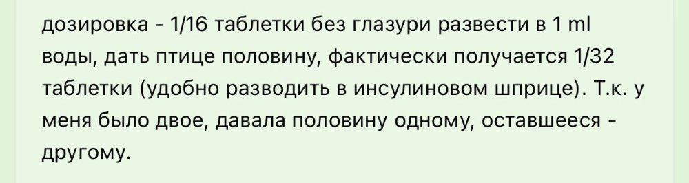 IMG_5588.jpeg
