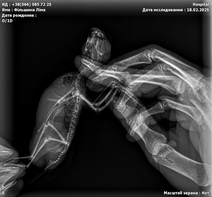 IMG_6128.thumb.PNG.7533ec3c14ddd4f70813d8156e7f3b9d.PNG