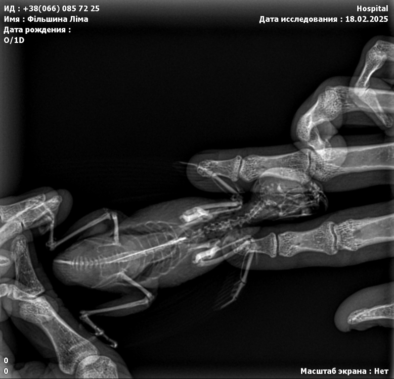 IMG_6129.thumb.PNG.85da7e85754bdeb7bdbfe2bea01aa01d.PNG
