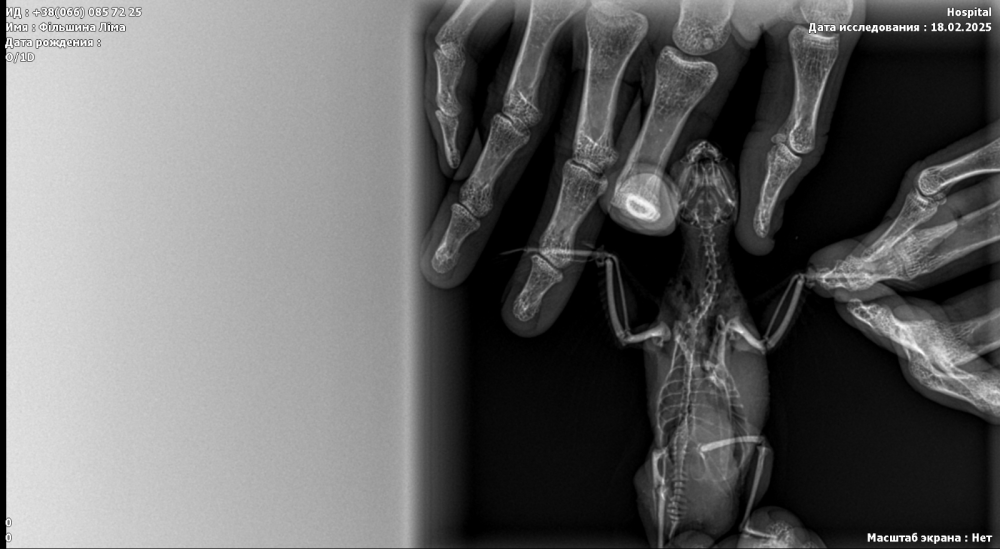 IMG_6130.thumb.PNG.9cbc17ae25e9269688e0146d4fe2dae7.PNG