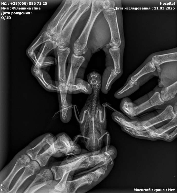 IMG_7248.thumb.PNG.59b8f57aec9a45d6c664178e12599cdc.PNG