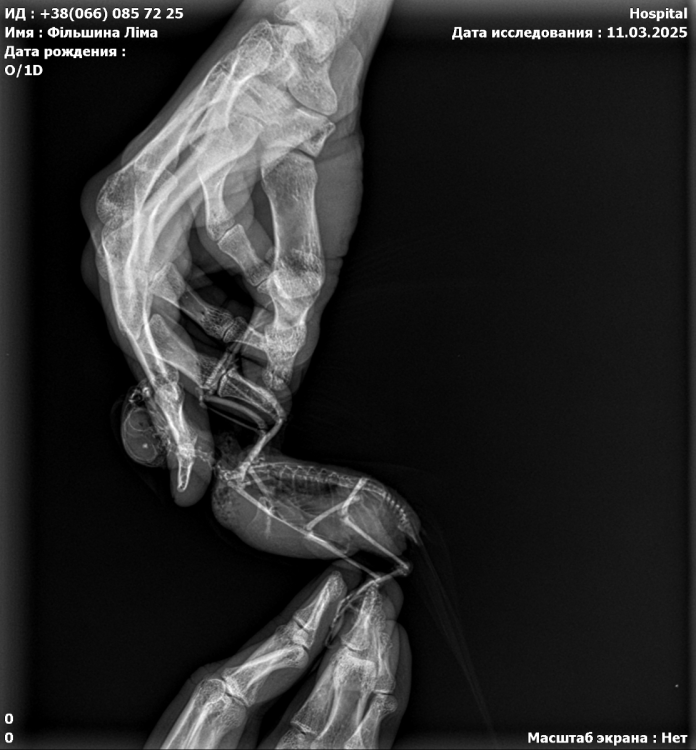 IMG_7250.thumb.PNG.8ebb928fc0c866785e1d2f62bf06a697.PNG