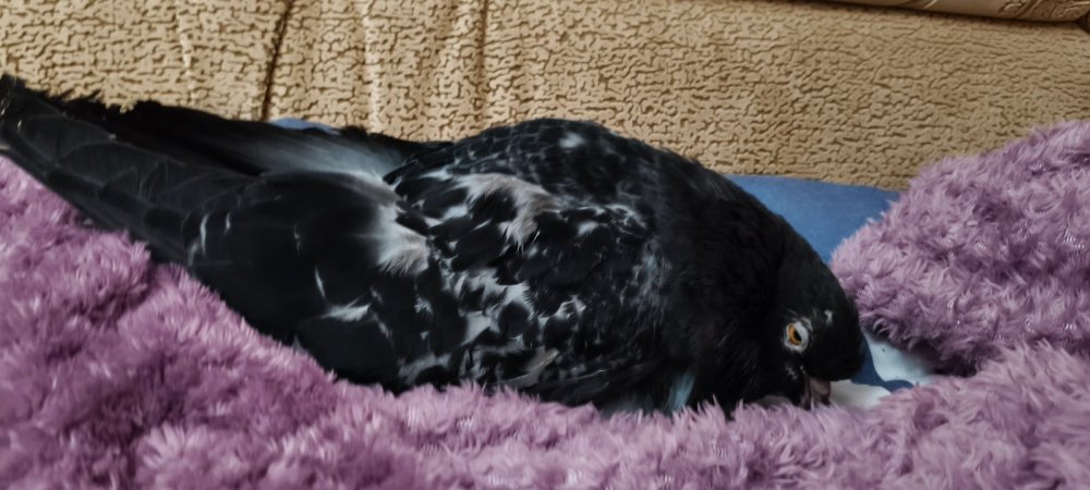 IMG20251027181602.jpg