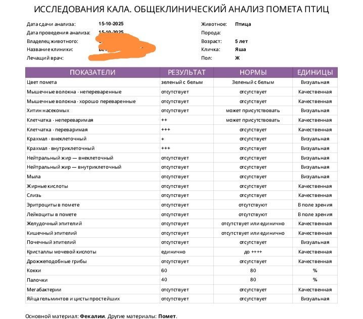Screenshot_20251017_113018.jpg.e077f77d672c05a3d4cf505d03c91dc1.jpg