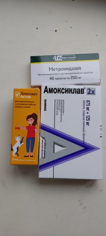 a4UlotSvA4pVKunSjd0-ttXGIOM_ojPhakXBJsnkZ8bCJJOpKiyanmWMMIDWjlhO6TF9nnw_x7SkUXI0HJpKq5Zz.jpg