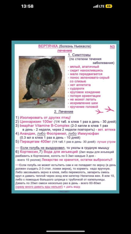image.thumb.png.1de204840854e9784a9e965de67ac7ab.png