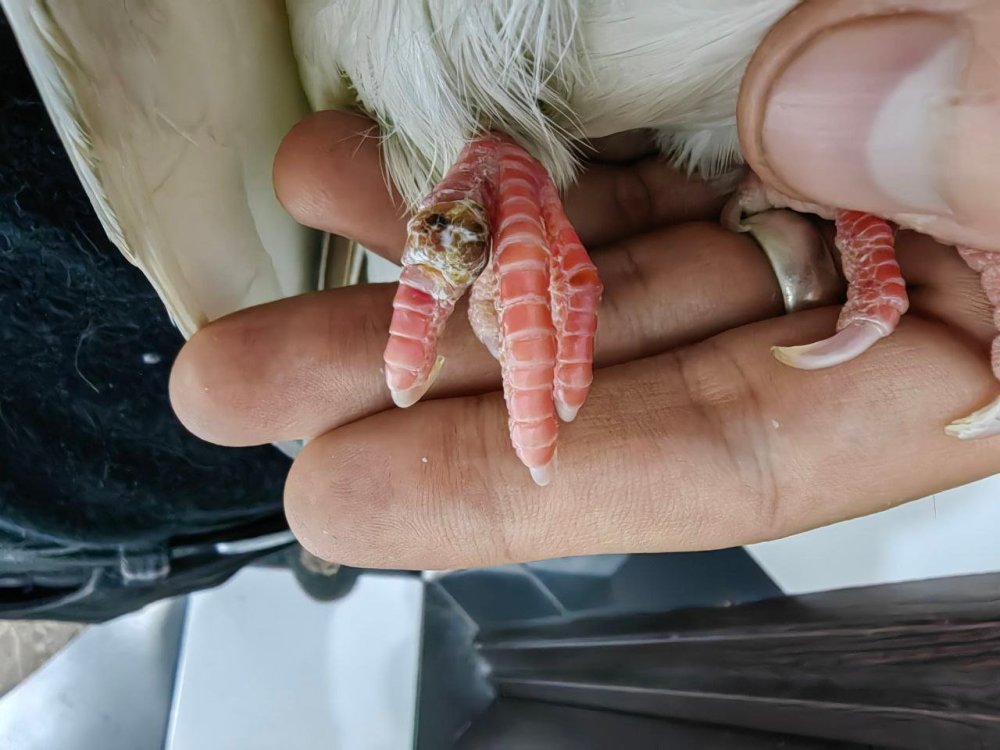 photo_2025-10-29_04-21-23 (2).jpg