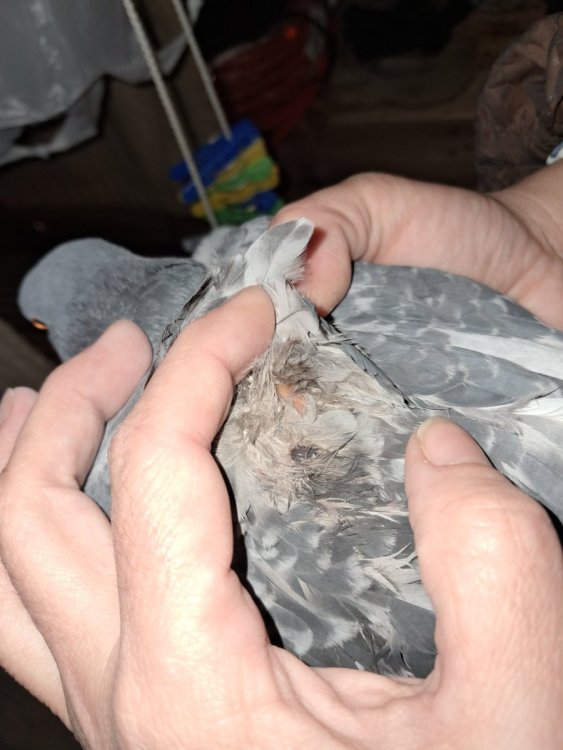 2025-11-25 12-53-59.JPG