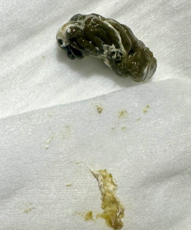 Снимок экрана 2025-11-28 в 01.07.43.jpg