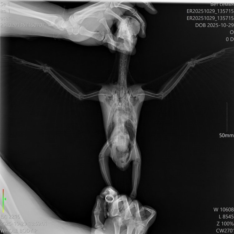 ER20251029_135715_ER20251029_135715__29-10-2025 13_59_01_1-1.jpg