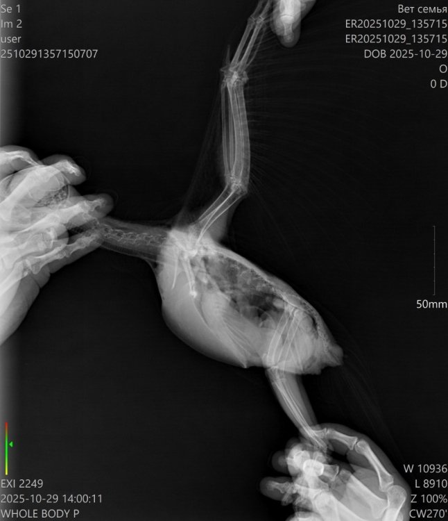 ER20251029_135715_ER20251029_135715__29-10-2025 14_00_11_1-2 (1).jpg