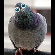 Жанна и Бубеня