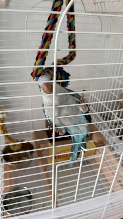 Изображение WhatsApp 2025-11-22 в 13.03.53_517217e1.jpg