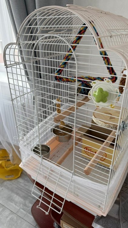 Изображение WhatsApp 2025-11-22 в 13.03.54_8acf2393.jpg