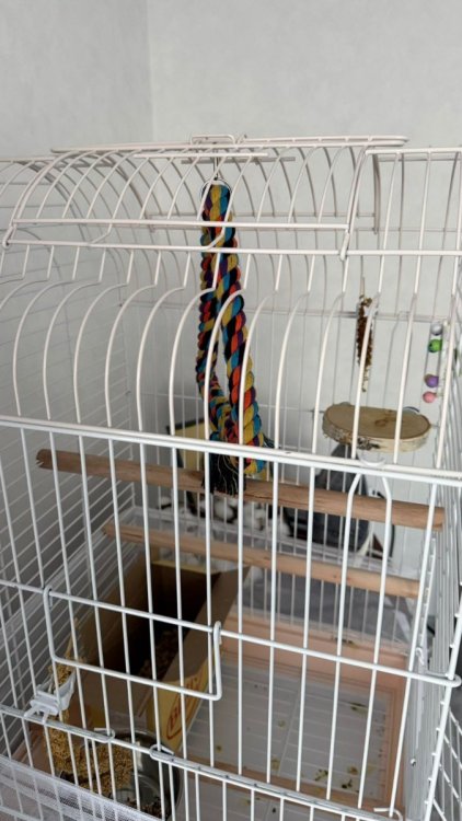 Изображение WhatsApp 2025-11-22 в 13.03.54_bfbca64e.jpg