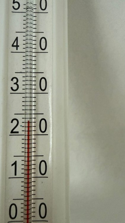 Изображение WhatsApp 2025-11-22 в 13.07.51_a9f7fb3e.jpg